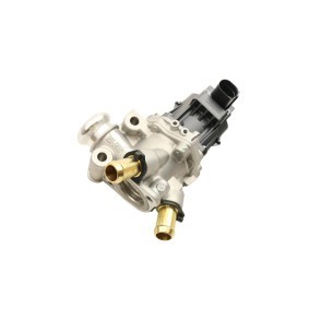 Compre Válvula EGR da FAST FT60247 a um preço baixo por 211,86 €