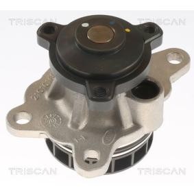 Achetez des Pompe à eau de chez TRISCAN en ligne pour Interstar Сamion à Plateau / Сhâssis (XDE) à prix modérés