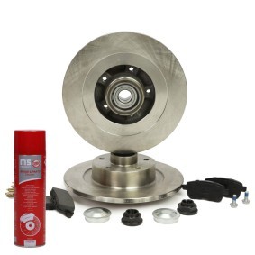 Bremsscheiben und -beläge für RENAULT von MASTER-SPORT