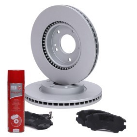 Bremsscheiben und -beläge 202651280P von MASTER-SPORT günstig für 110,51 € online kaufen