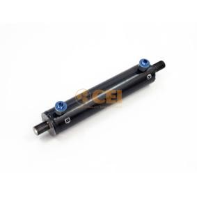 Comprar Cilindro de trabajo, dirección asistida de CEI 229.021 a bajo precio de 265,10 €