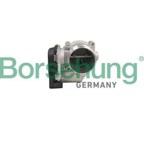 Compre Corpo de borboleta da Borsehung B11106 a um preço baixo por 159,35 €