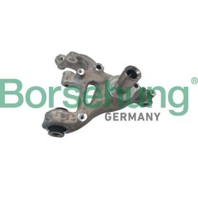 Achsschenkel, Radaufhängung B12117 von Borsehung günstig für 214,89 € online kaufen