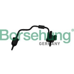 AGR Ventil des Herstellers Borsehung - Originalware Artikelnummer: B12320