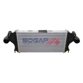 Acquista Intercooler da BOGAP online per GLE (W166) a prezzi moderati