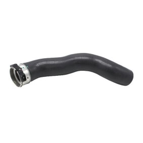 Acquista Tubo intercooler da GOOM online per Arkana I (LCM_) a prezzi moderati