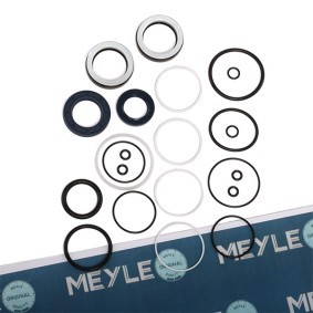 Dichtungssatz, Lenkgetriebe 300 321 3101 BMW von MEYLE
