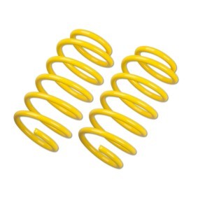 Compre Kit de suspensão, molas da STsuspensions 28220267 a um preço baixo por 114,09 €