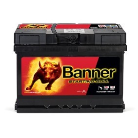 Batterie 010560090101 von BANNER günstig für 98,19 € online kaufen