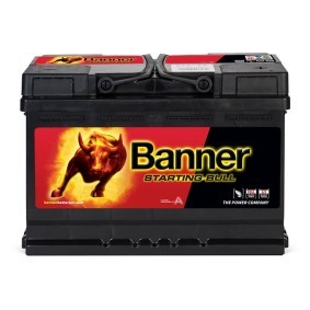 Batterie 010572120101 von BANNER günstig für 116,28 € online kaufen