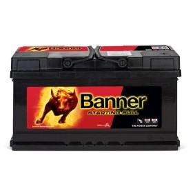 Batterie 010580140101 von BANNER günstig für 133,32 € online kaufen