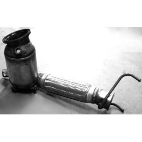 Katalysator BK-307 von VEGAZ günstig für 485,36 € online kaufen