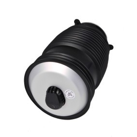 Luftfeder, Fahrwerk 1198-01-0225 von MiesslerAutomotive günstig für 331,31 € online kaufen