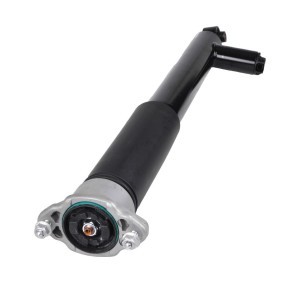 Stoßdämpfer 1216-01-1630 von MiesslerAutomotive günstig für 378,61 € online kaufen