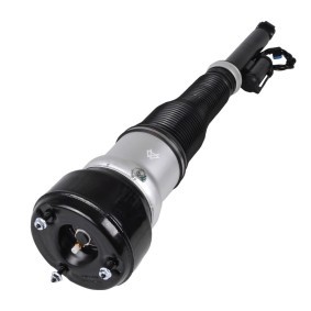Luftfederbein 1230-01-5513 von MiesslerAutomotive günstig für 491,12 € online kaufen