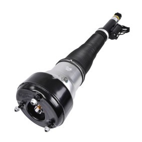 Luftfederbein 1231-01-5613 von MiesslerAutomotive günstig für 491,12 € online kaufen
