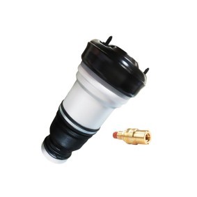 Luftfeder, Fahrwerk 182-01-2438 von MiesslerAutomotive günstig für 336,92 € online kaufen