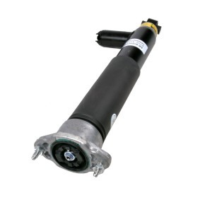 Stoßdämpfer 1980-01-4330 von MiesslerAutomotive günstig für 423,15 € online kaufen