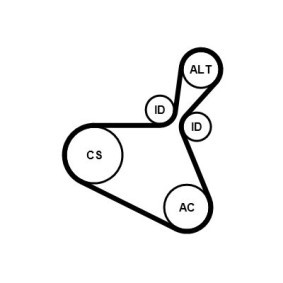 Compre Jogo de correia trapezoidal estriada de CONTITECH online para Focus Mk4 Turnier (HP) a preços moderados