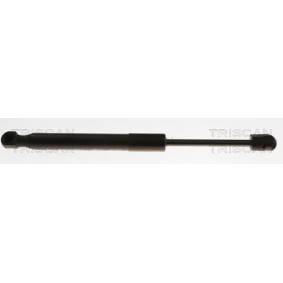 Motorhaubendämpfer 8710 11137 von TRISCAN günstig für 33,30 € online kaufen
