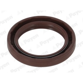 Compre Retentor de cambota de PAYEN online para Stonic Van / Hatchback (YB) a preços moderados
