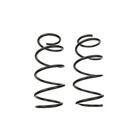 Compre Mola de suspensão da FAST FT12294K a um preço baixo por 65,61 €