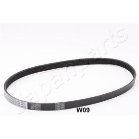 Keilrippenriemen TV-W09 von JAPANPARTS günstig für 12,11 € online kaufen