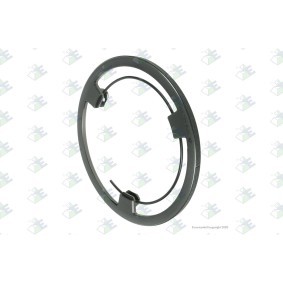 Synchronring, Schaltgetriebe für MERCEDES-BENZ von Euroricambi