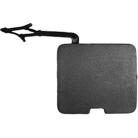 Compre Tampa, gancho de reboque da DIEDERICHS 4417659 a um preço baixo por 23,29 €