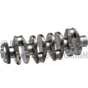 Kurbelwelle 20050365102 von BF günstig für 781,88 € online kaufen