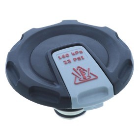 Köp Lock till expansionskärl av MOTORAD T111 till det låga priset 261,39 kr