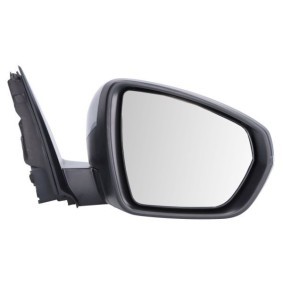 Außenspiegel 5402-08-1117315P von BLIC günstig für 121,84 € online kaufen