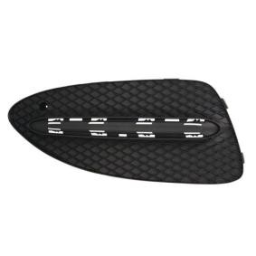 Acquista Griglia paraurti da BLIC 6502-07-3509912P a buon mercato per soli 34,56 €