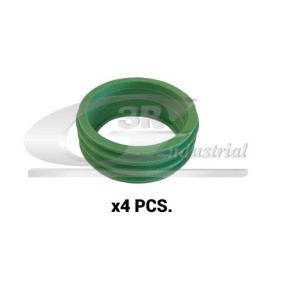 Comprar Junta, colector de admisión de 3RG 66700 a bajo precio de 31,43 €