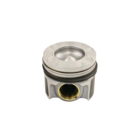 Köp Kolv av FAST FT47136/50 till det låga priset 2231,79 kr
