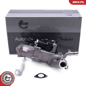 Compre Válvula EGR da ESEN SKV 14SKV240 a um preço baixo por 436,28 €