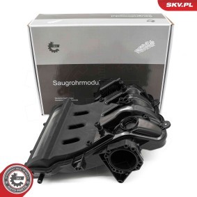 Compre Módulo do colector de admissão da ESEN SKV 49SKV088 a um preço baixo por 112,93 €