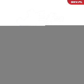 Compre Fechadura de porta de ESEN SKV online para SL (R231) a preços moderados