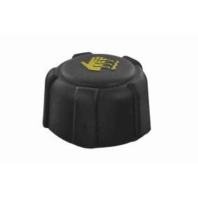 Compre Tampa depósito do líquido de refrigeração de VAICO online para LEAF a preços moderados