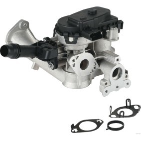 AGR-Ventil für DS von HERTH+BUSS ELPARTS