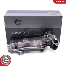 Acquista Valvola EGR da ESEN SKV 14SKV239 a buon mercato per soli 377,07 €