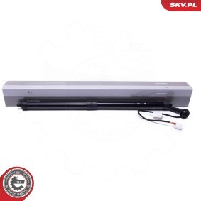 Achetez des Moteur électrique, hayon ESEN SKV 52SKV955 à prix pour 136,28 €