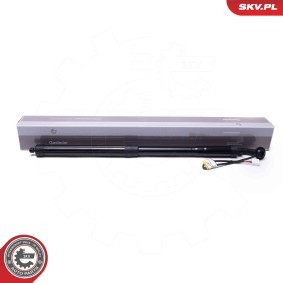Achetez des Moteur électrique, hayon ESEN SKV 52SKV956 à prix pour 136,28 €