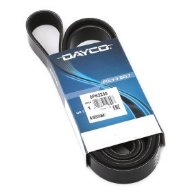 Acquista Cinghia servizi da DAYCO online per Sentra V (B15) a prezzi moderati