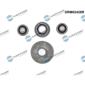 Achetez des Kit de réparation, levier de changement de vitesse de chez DR.MOTOR AUTOMOTIVE en ligne pour Megane I Van / 3/5 portes (SA0/1_) à prix modérés