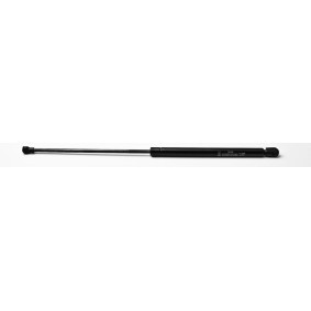 Heckklappendämpfer 24406 von FA KROSNO günstig für 17,61 € online kaufen