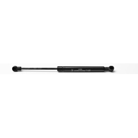 Heckklappendämpfer 24589 von FA KROSNO günstig für 21,78 € online kaufen