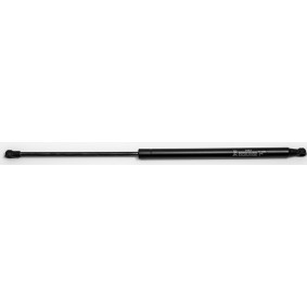 Gasfeder, Heckscheibe 31263 von FA KROSNO günstig für 17,63 € online kaufen