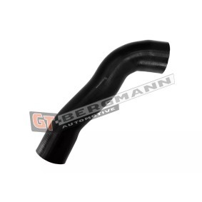 Compre Tubo flexível do radiador da GT-BERGMANN GT52-758 a um preço baixo por 15,95 €