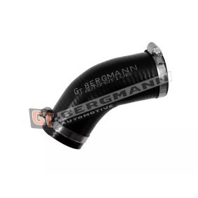 Compre Tubo flexível do ar de sobrealimentação da GT-BERGMANN GT52-786 a um preço baixo por 27,21 €